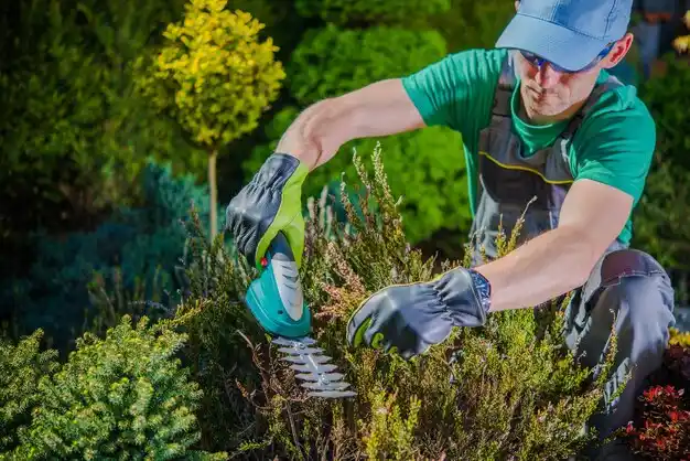 landscaping services Delevan